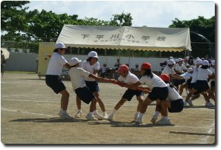 5dantai01.jpg